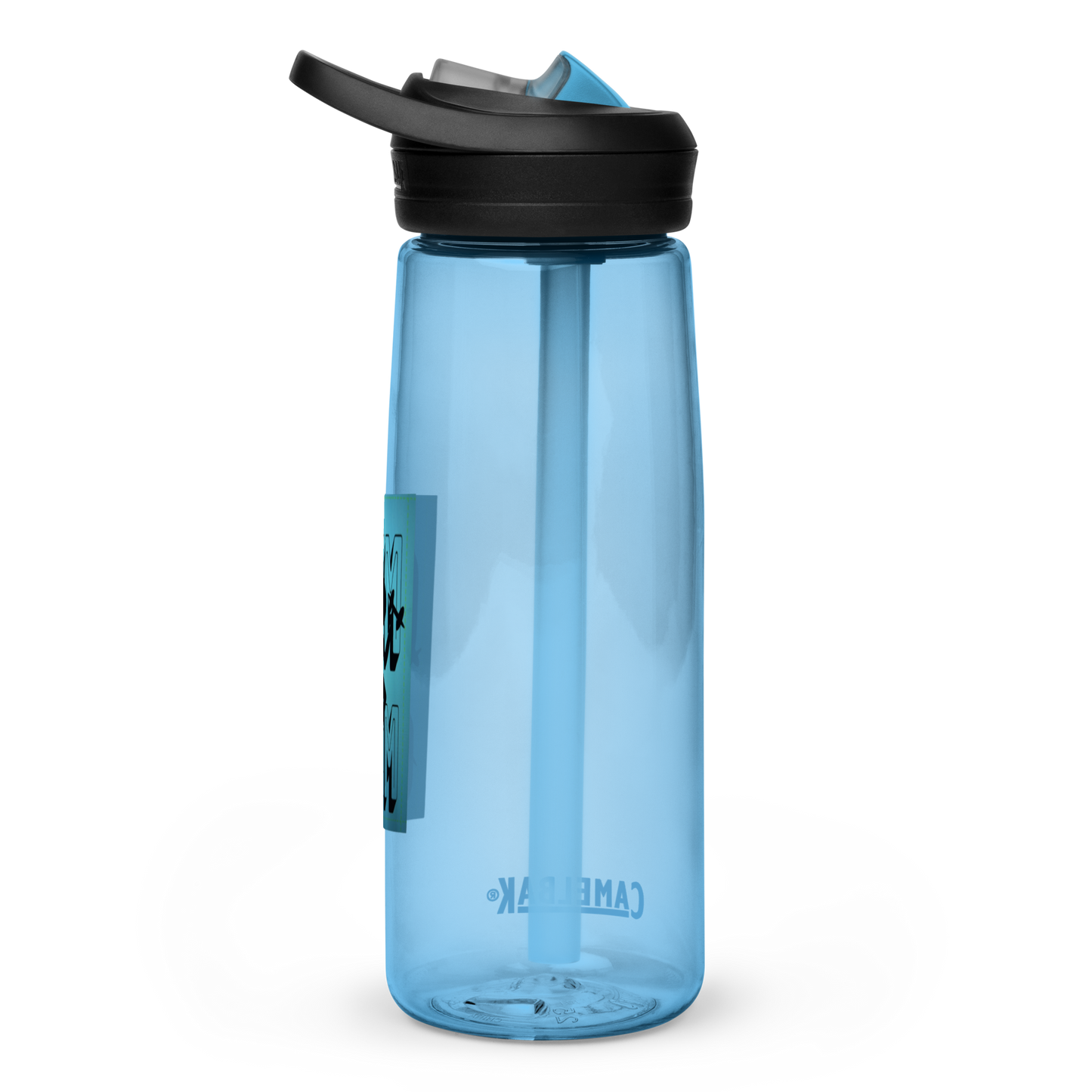 Sports water bottle