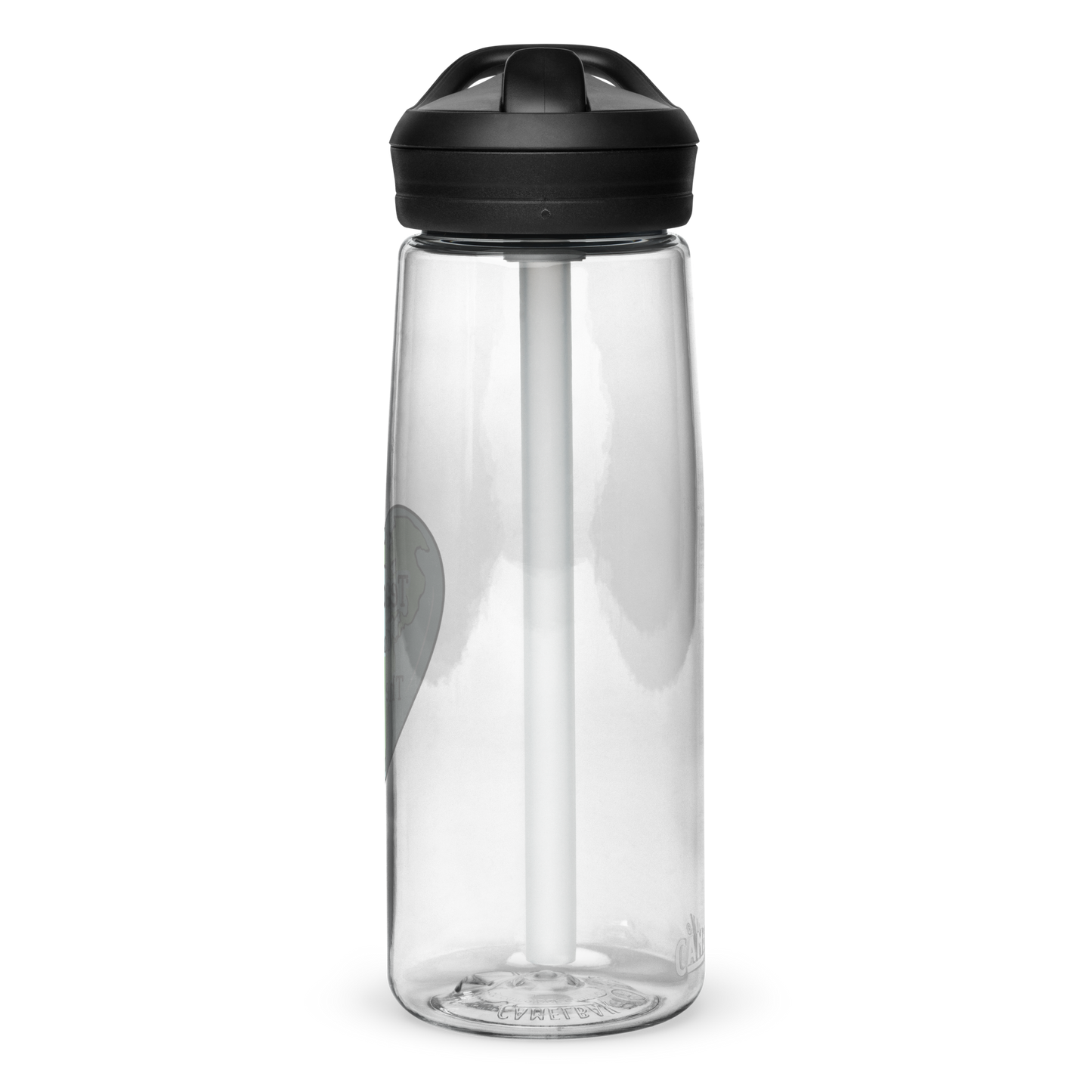 Sports water bottle