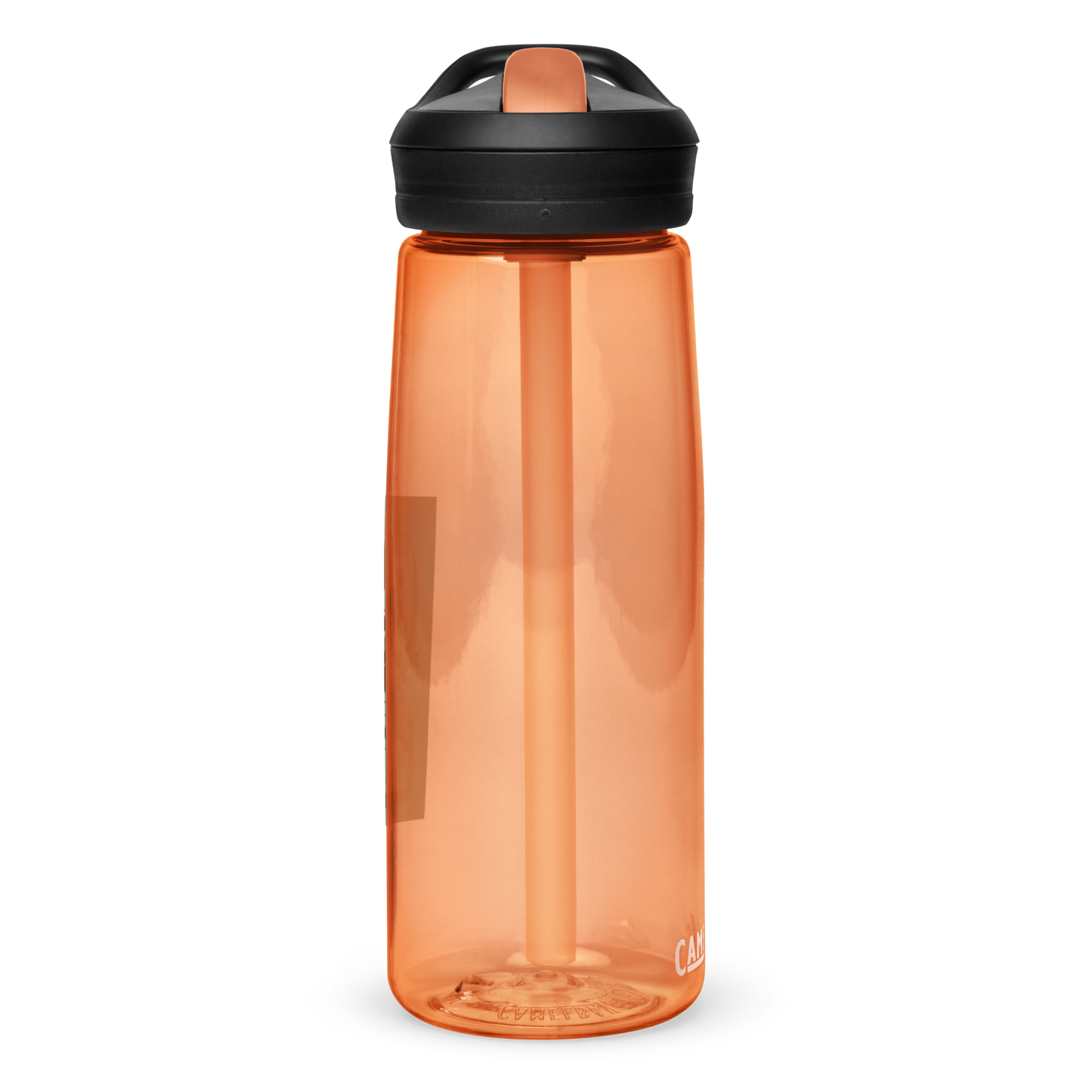 Sports water bottle